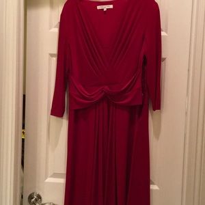 RED DRESS.  HOLIDAY SPECIAL